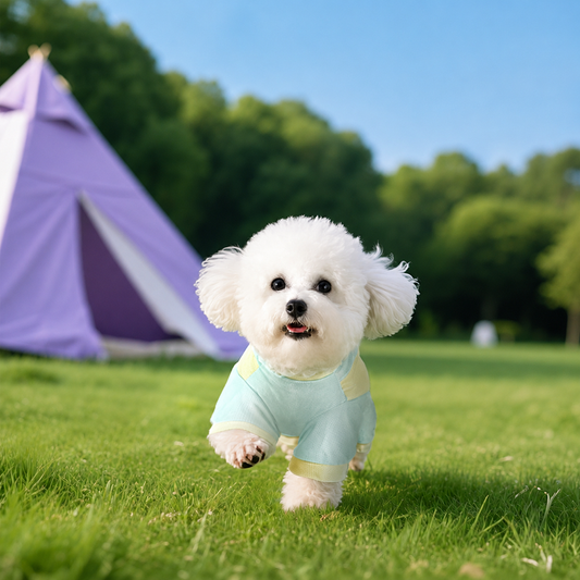 Small dog wearing green ice silk pet cooling suit outdoors