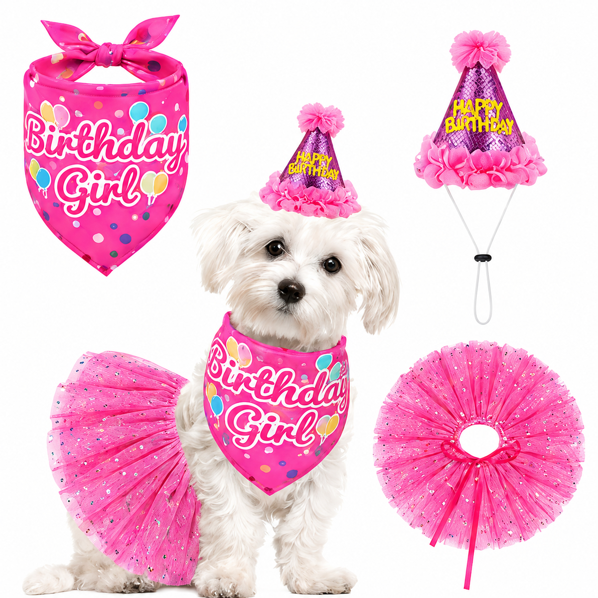 Birthday Girl pet bandana hat and tutu set