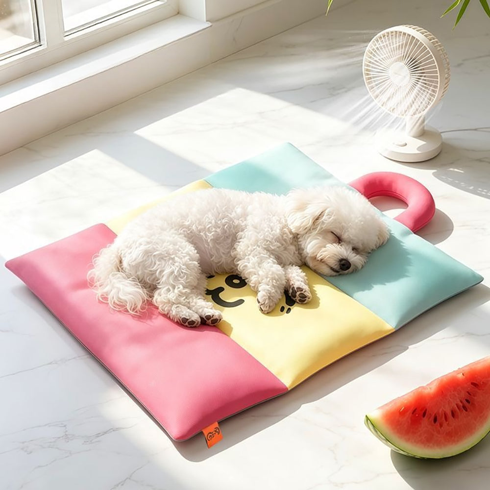 Pet resting on pink colorblock mat