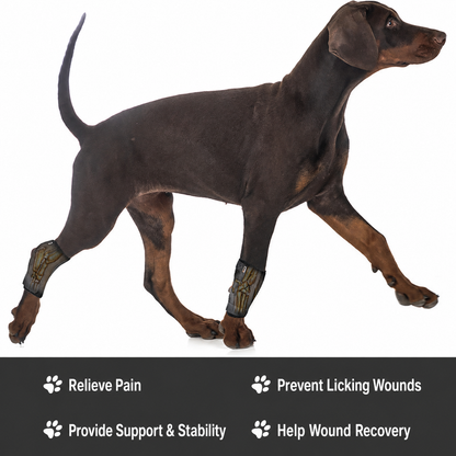 Dog leg brace benefits
