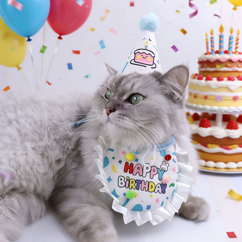 Cat wearing blue pet birthday bib and party hat