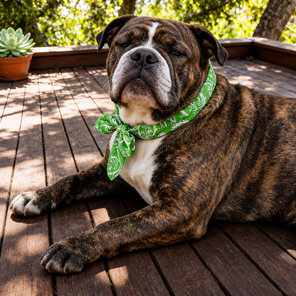 Cooling Dog Bandana with Ice Beads – Reusable Summer Neck Scarf
