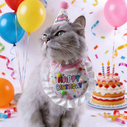 Cat wearing pink pet birthday bib and party hat
