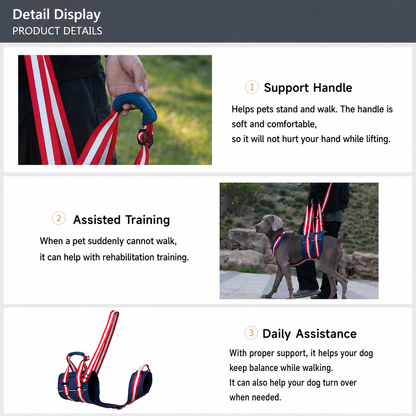 Dog support harness features and daily assistance