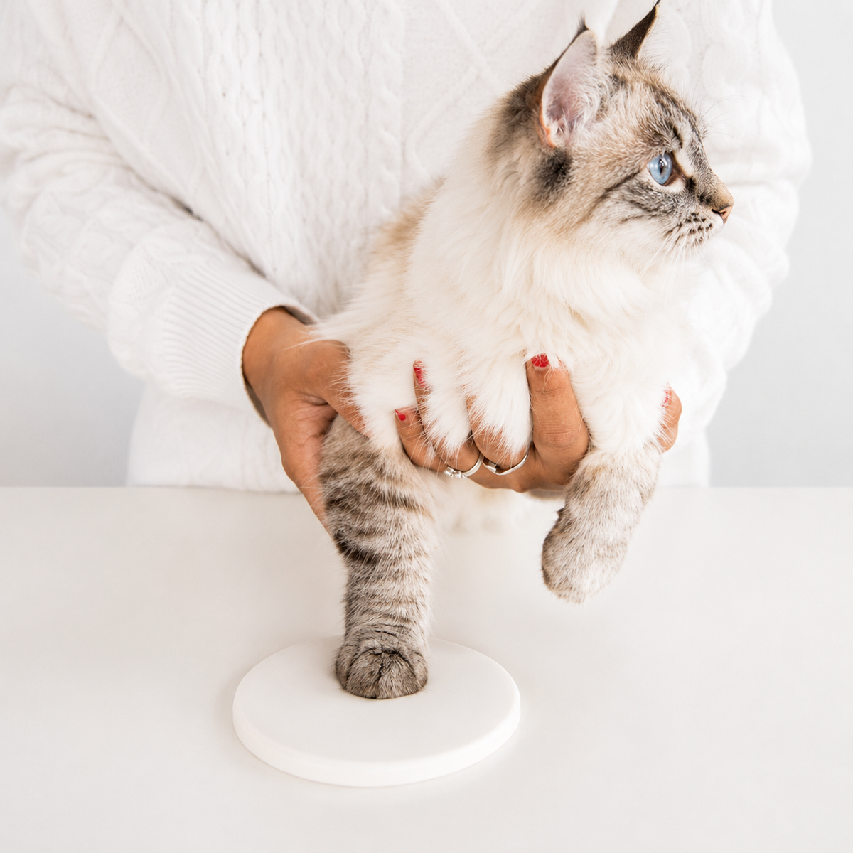 Personalized blue paw print keepsake