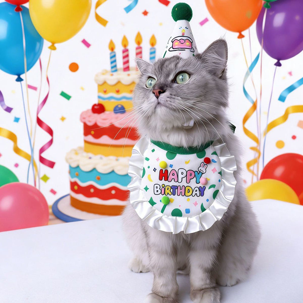 Cat wearing green pet birthday bib and party hat