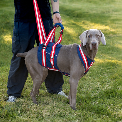 Dog mobility harness with padded support handle