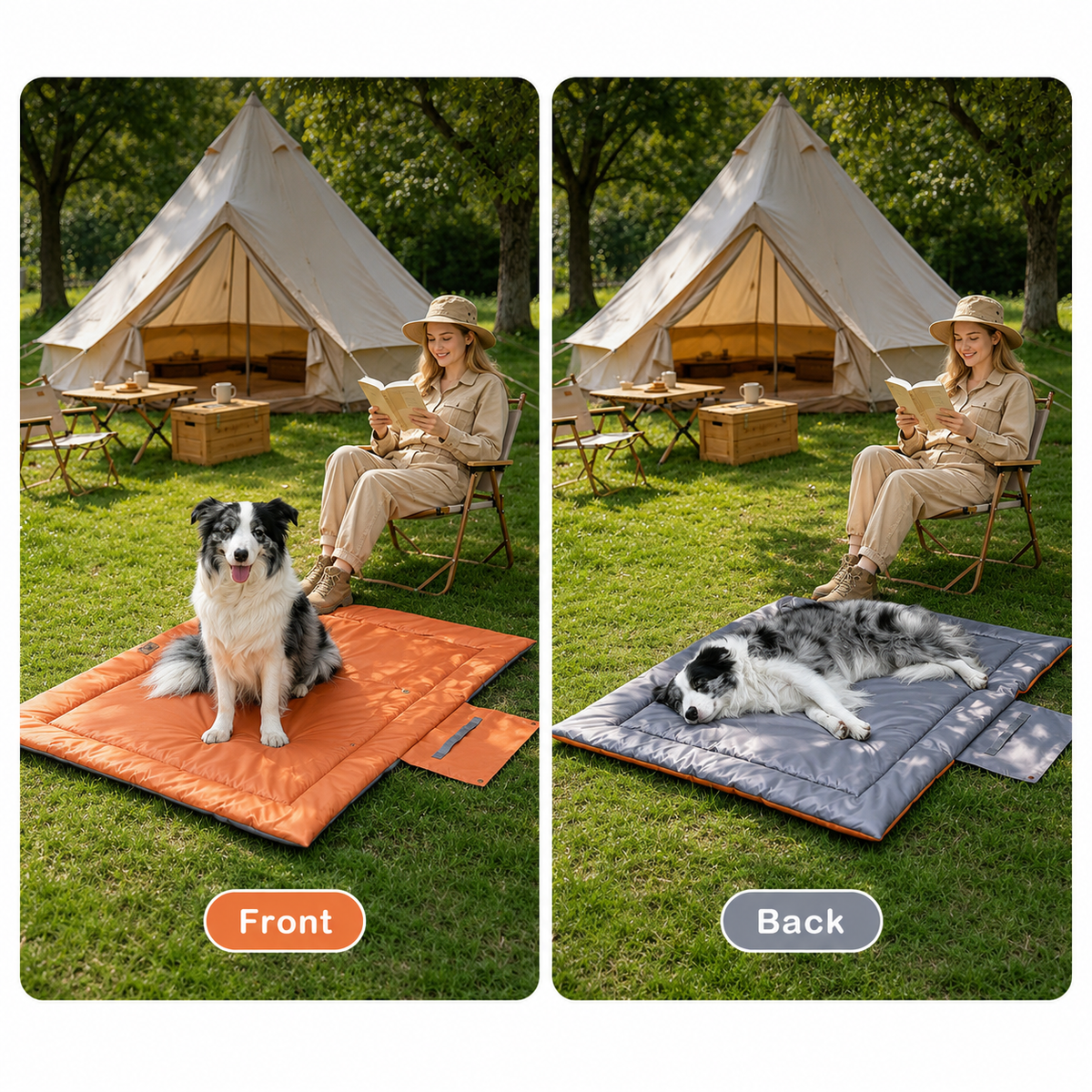 Front and back outdoor pet mat demo