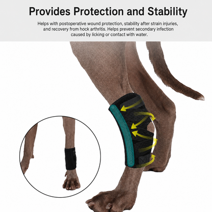Dog leg brace protection and stability