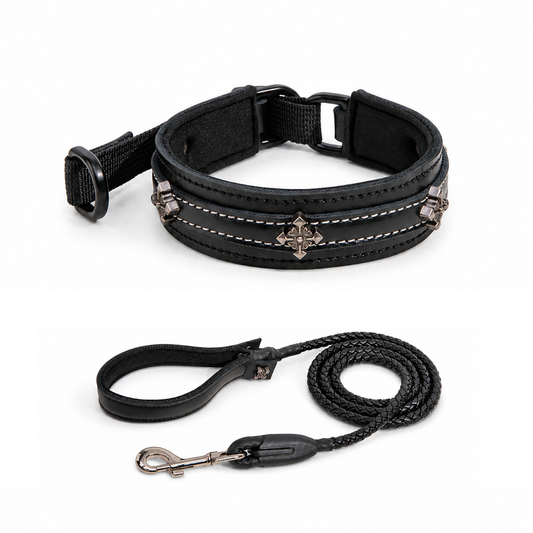 Furbaby™ Punk Cross Leather Dog Collar & Leash Set