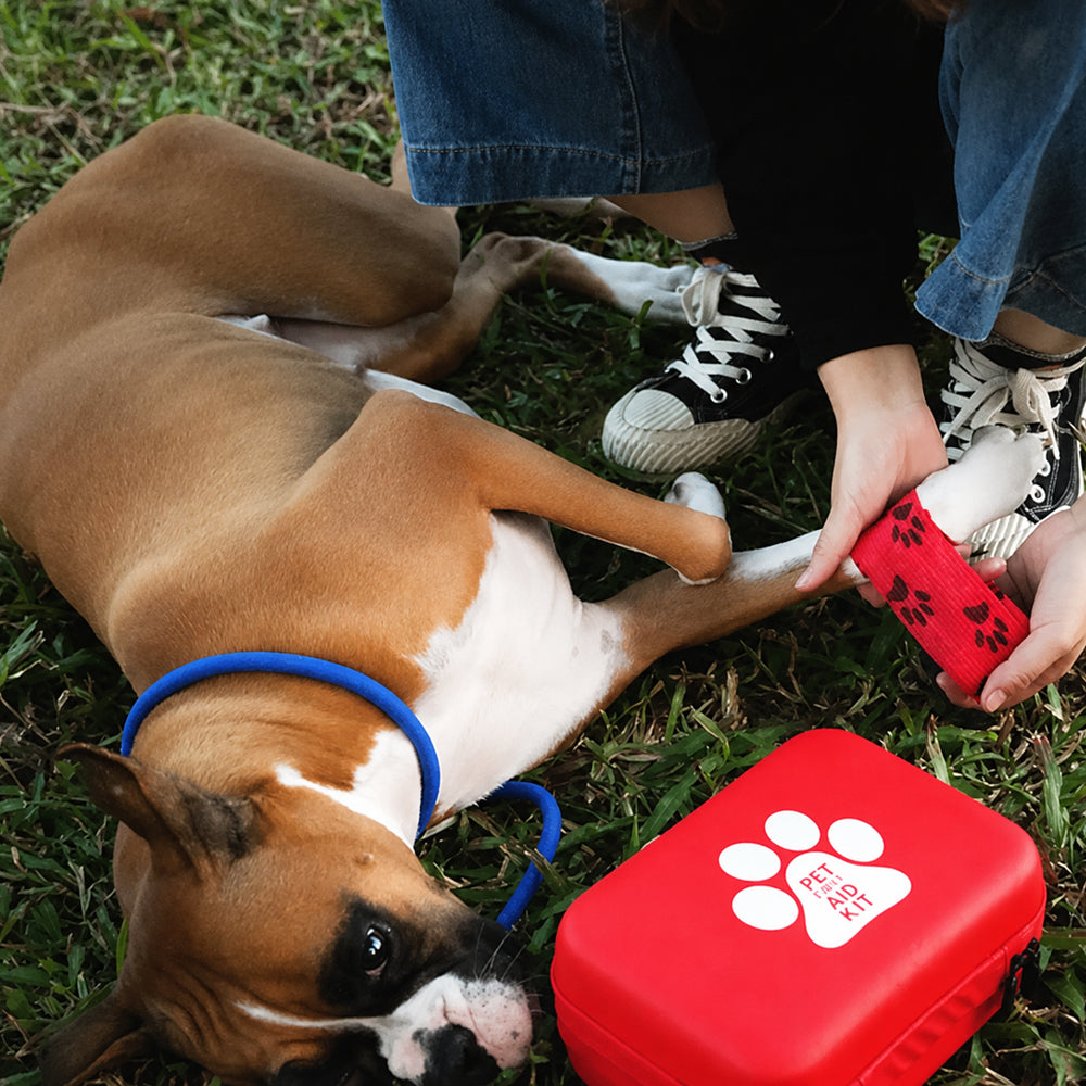 Pet First Aid Kit for Dogs and Cats
