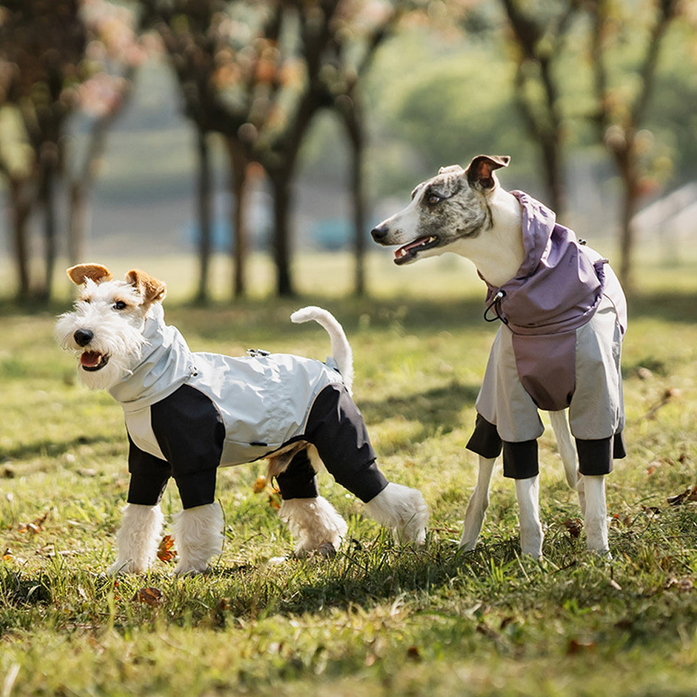 Lightweight Four Leg Pet Raincoat