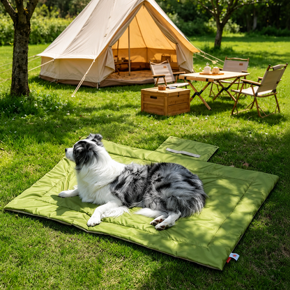 Green pet mat camping lifestyle