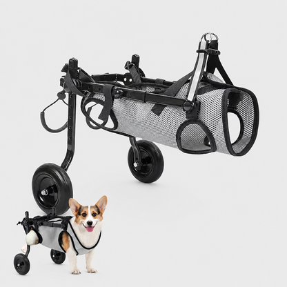 Adjustable Dog Wheelchair for Back Legs