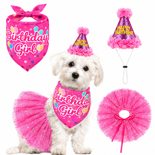 Birthday Girl hot pink pet birthday outfit set