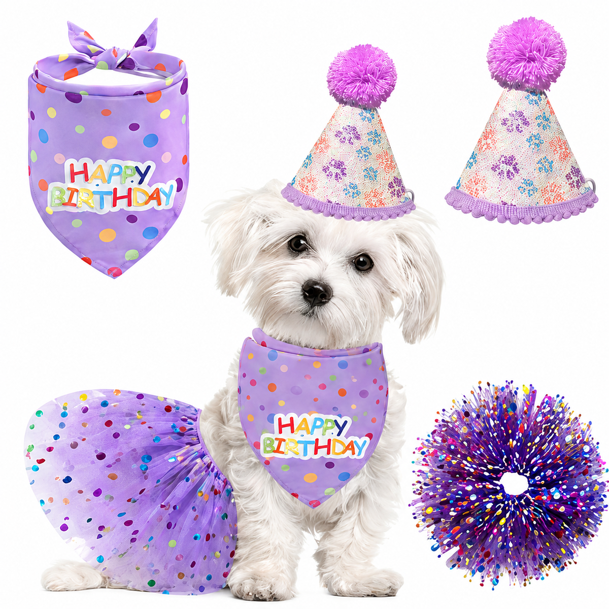 Happy Birthday purple pet party outfit set